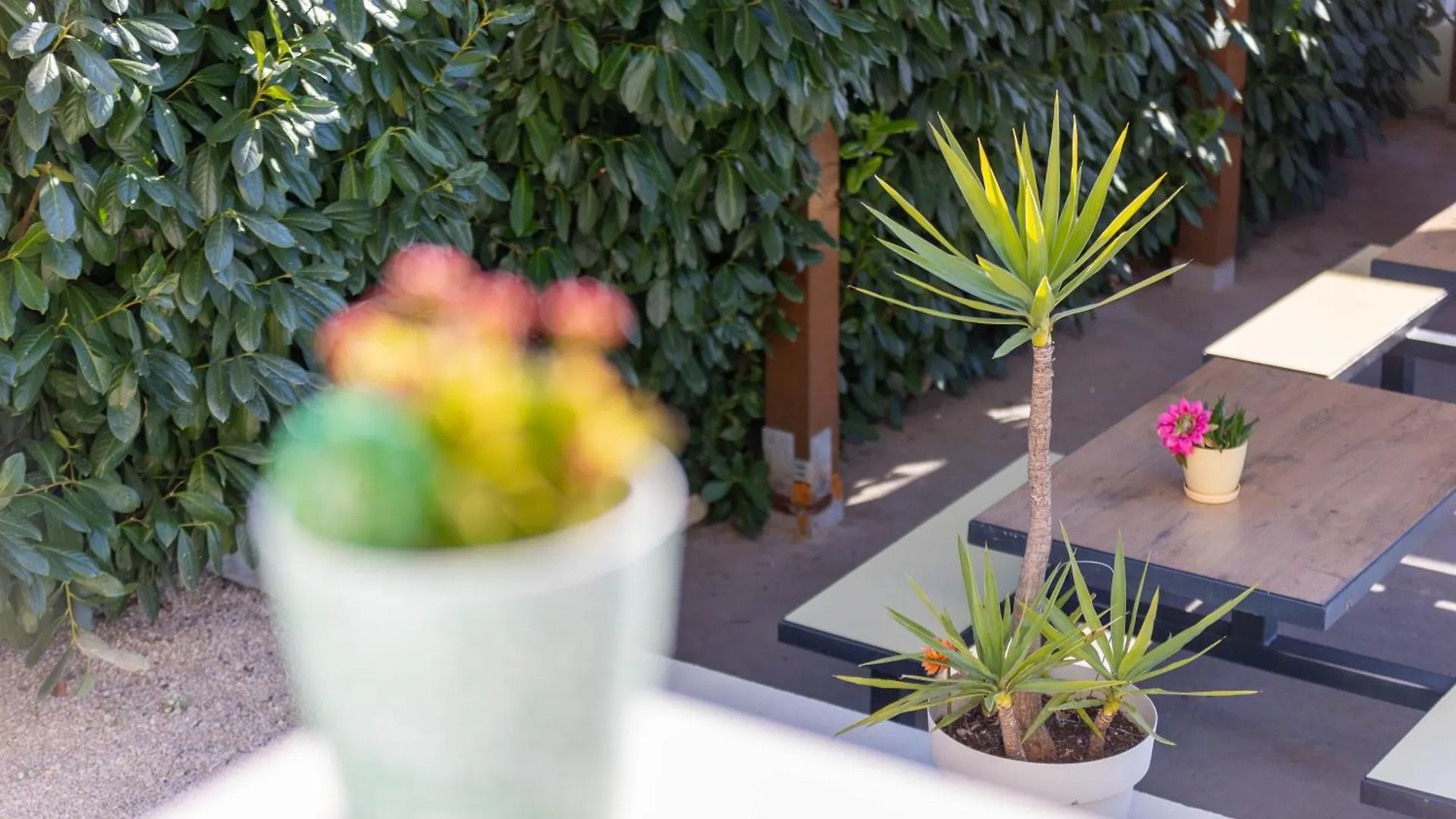 Apartments Sunshine With Pool Trogir
